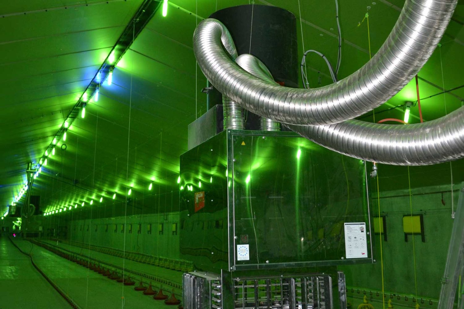 Chauffage poulailler